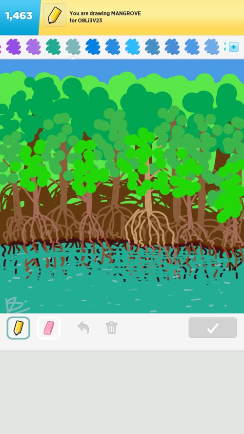 500x889 Mangrove Drawings - Mangrove Drawing