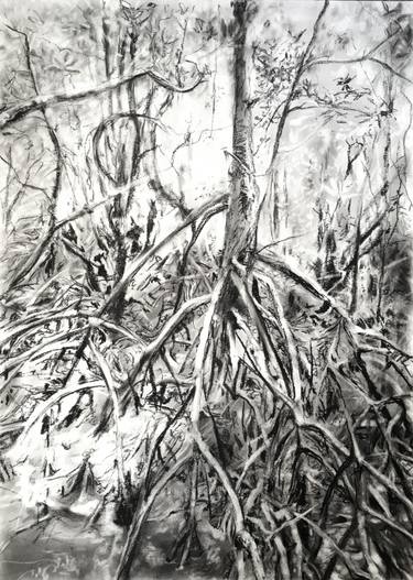 375x527 Mangrove Ii Drawing - Mangrove Drawing