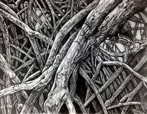 300x232 mangrove vii drawing - Mangrove Drawing