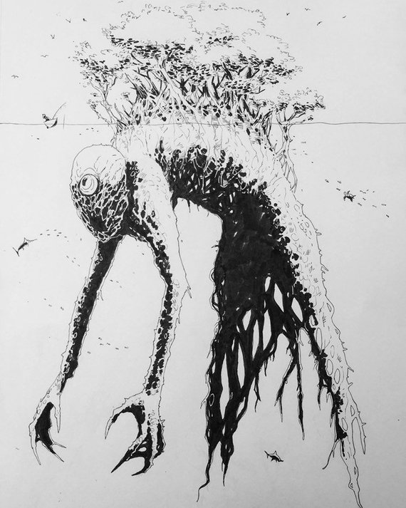 570x713 Mangrove Tree Giant Drawing Etsy - Mangrove Drawing