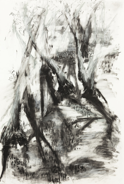 433x640 drawing mangrove australian ochre lawson - Mangrove Drawing