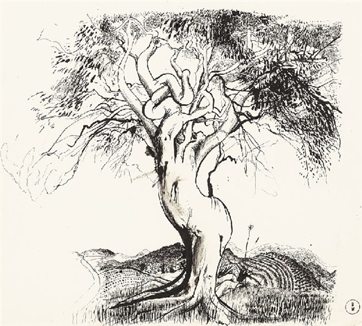 522x470 The Gum Tree - Mangrove Tree Drawing