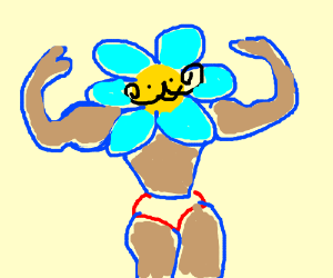 300x250 manly flower drawing - Manly Drawing