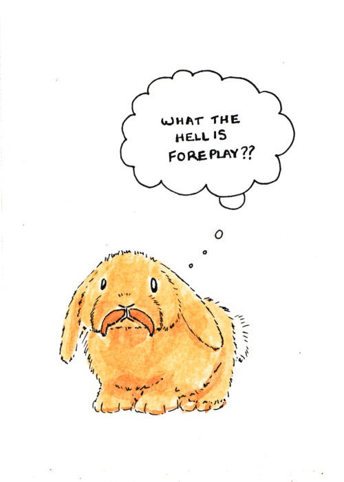 500x700 manly moustaches of the animal kingdom, day i am your - Manly Drawing