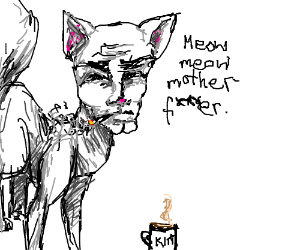 300x250 white cat with a manly face drawing - Manly Drawing