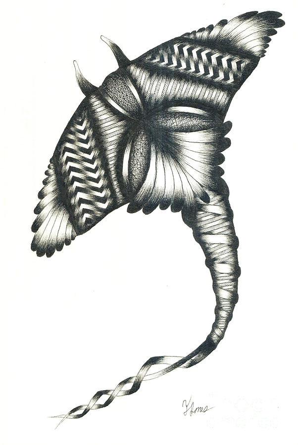 602x900 manta ray drawing - Manta Ray Drawing