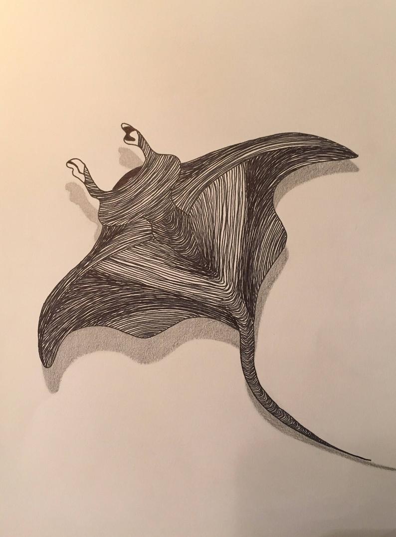 794x1075 manta ray line drawing etsy - Manta Ray Drawing