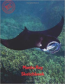 260x335 manta ray sketchbook blank paper for drawing, doodling - Manta Ray Drawing