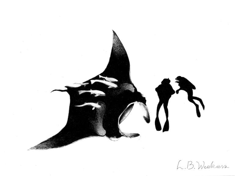 770x577 manta ray with diver drawing - Manta Ray Drawing