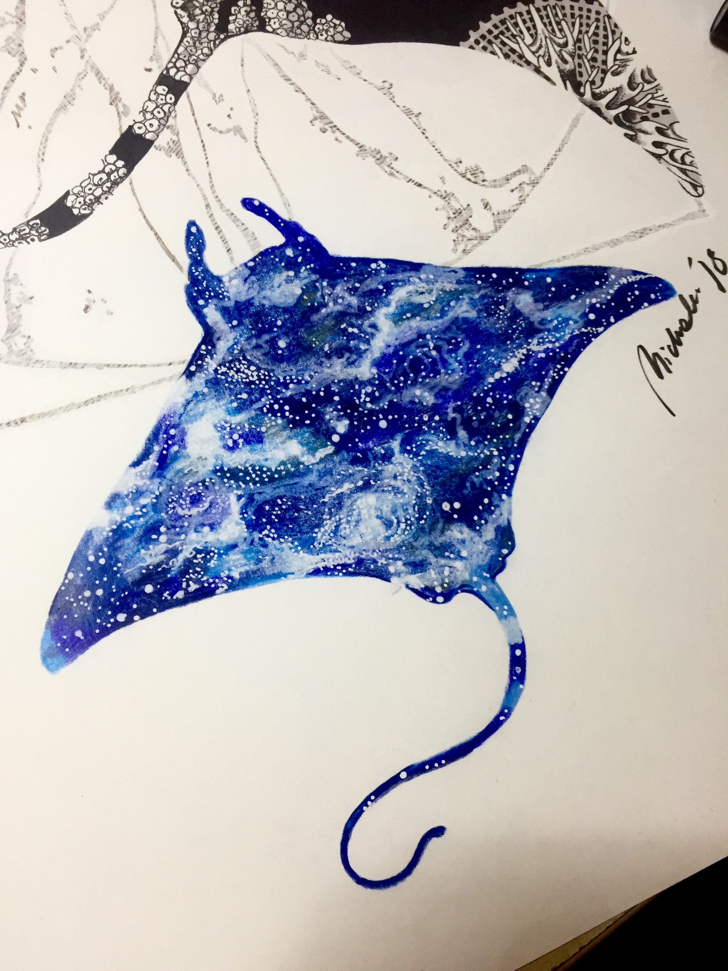 2448x3264 space rays drawing - Manta Ray Drawing