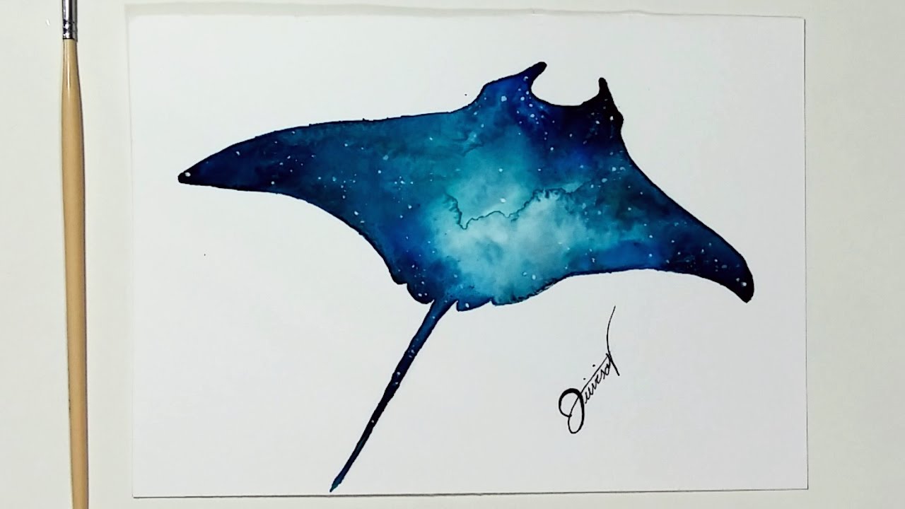 1280x720 speed drawing - Manta Ray Drawing