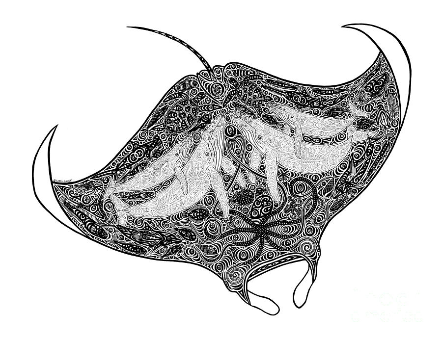 900x691 tribal manta drawing - Manta Ray Drawing