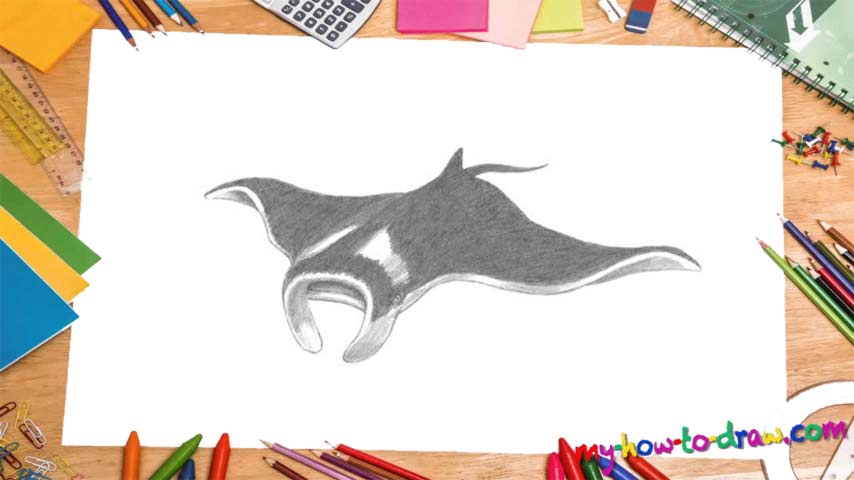 854x480 how to draw a manta ray - Manta Ray Drawing