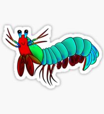 210x230 mantis shrimp design illustration stickers redbubble - Mantis Shrimp Drawing