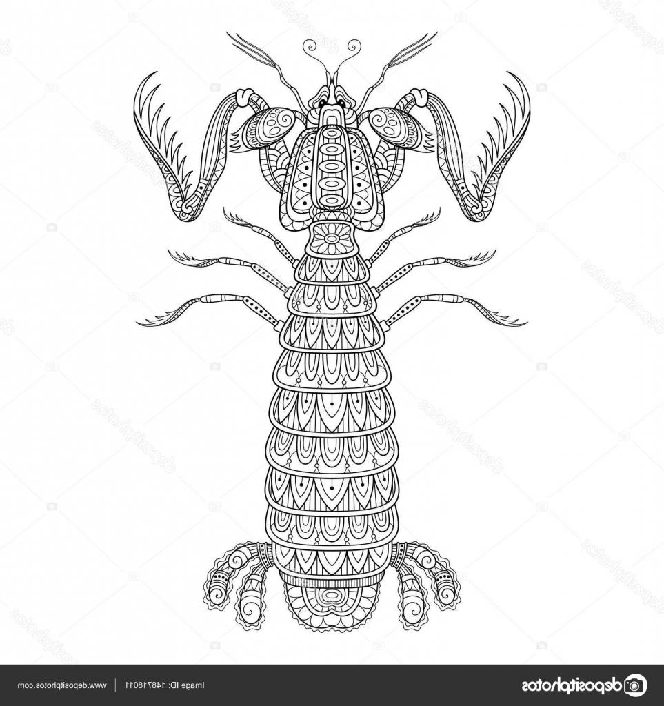 963x1024 top stock illustration vector decorative monochrome mantis shrimp - Mantis Shrimp Drawing