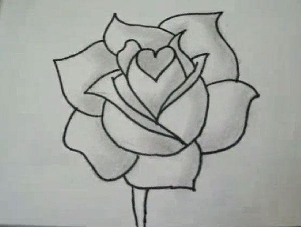600x452 How To Draw A Rose - Many Drawing