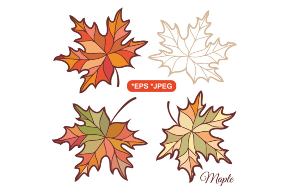 580x388 Maple Leaves Outline Drawing Graphic - Maple Drawing