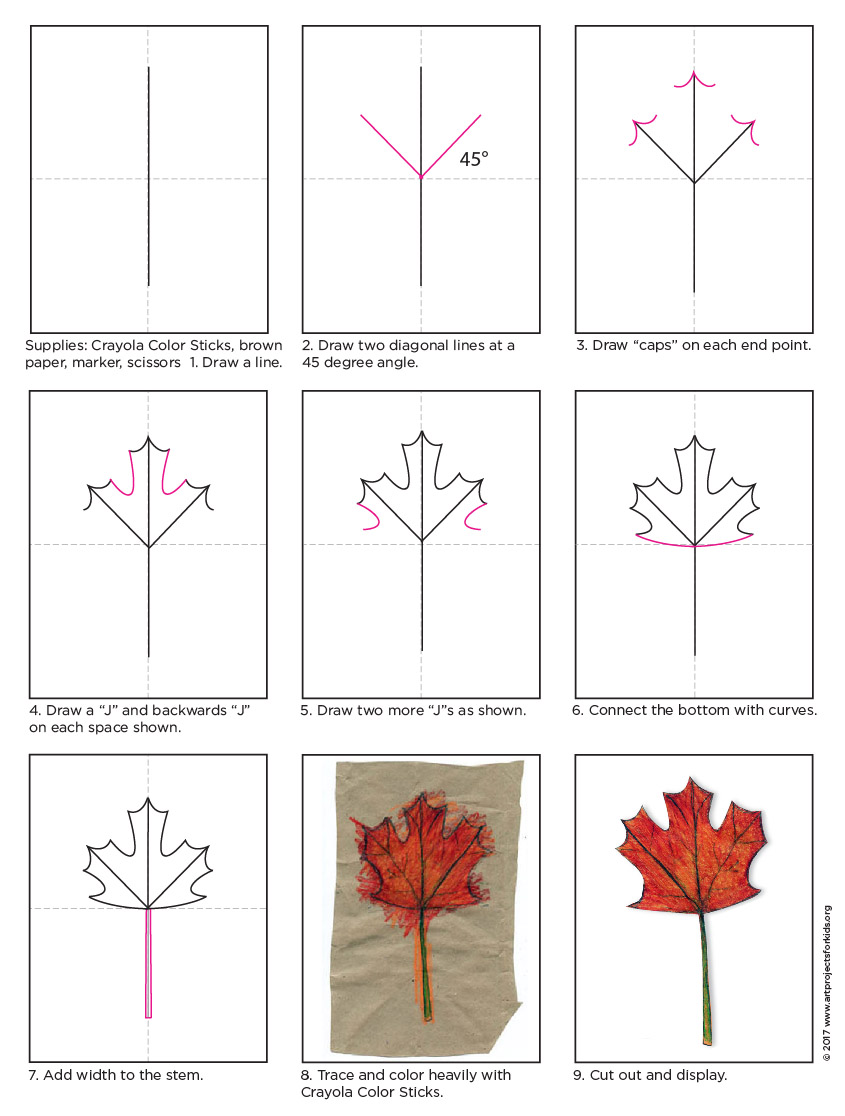 845x1116 How To Draw A Maple Leaf Art Projects For Kids - Maple Leaf Drawing