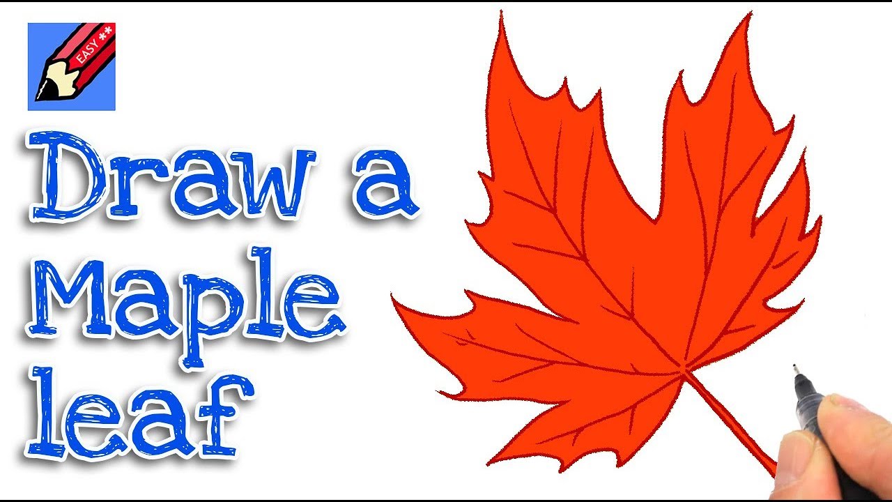1280x720 How To Draw A Maple Leaf Real Easy For Thanksgiving - Maple Leaf Drawing