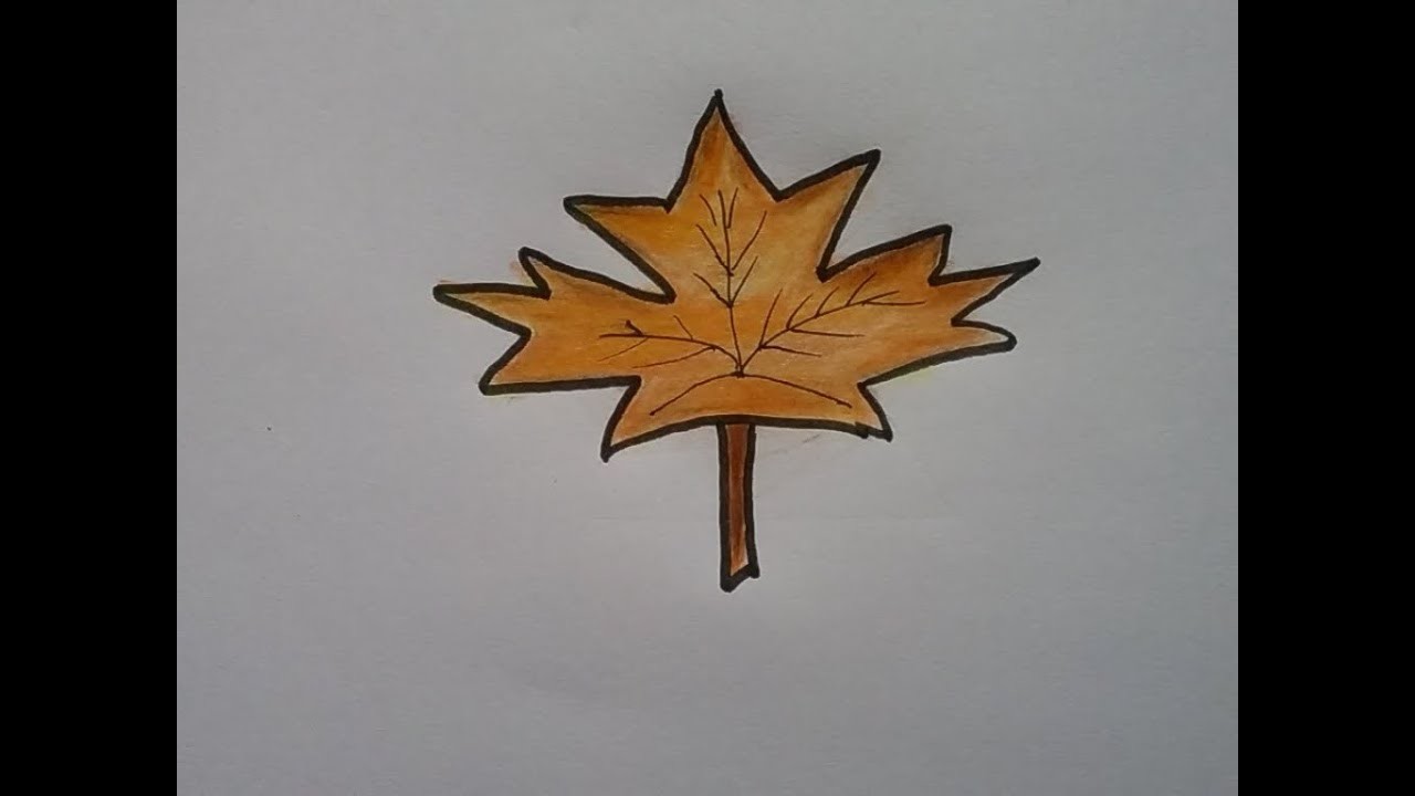 1280x720 how to draw a maple leaf autumn leaf drawing, colour pencil shading - Maple Leaf Drawing