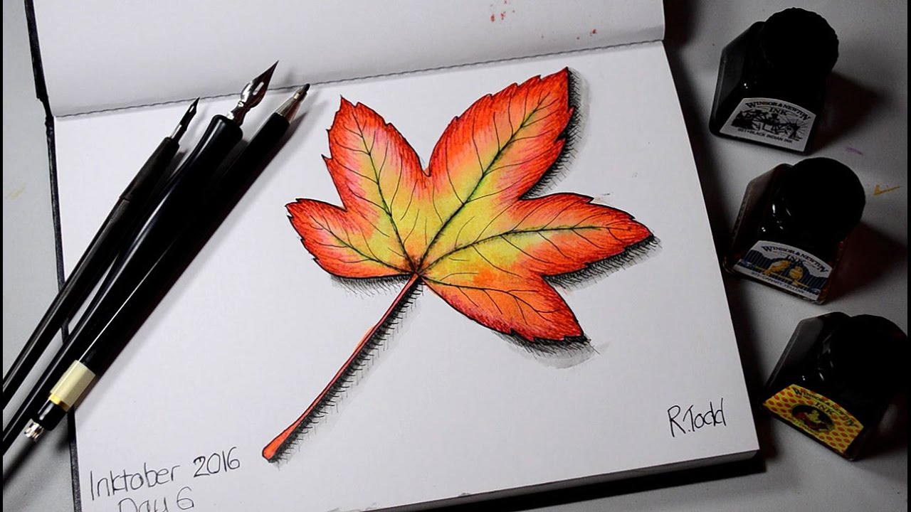 Maple Leaf Drawing at PaintingValley.com | Explore collection of Maple ...