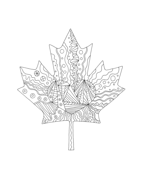 480x600 Inner Maple Leaves - Maple Leaf Drawing