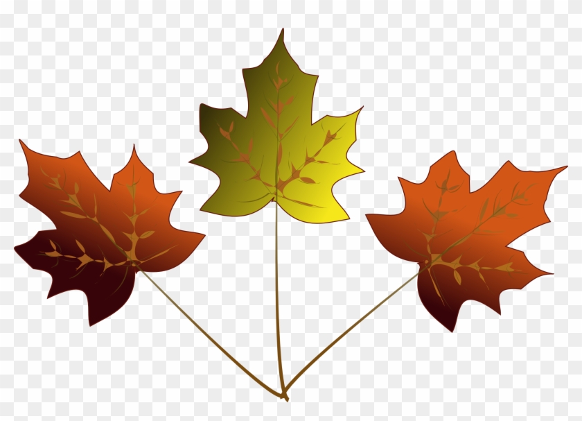 840x607 Drawn Maple Leaf Transparent - Maple Leaf Drawing