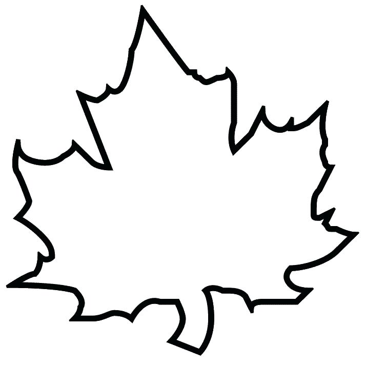 714x714 Blank Leaf Template Maple - Maple Leaf Drawing Template
