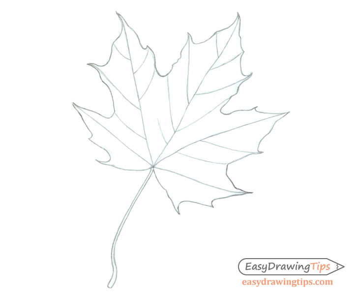728x600 Maple Leaf Drawing Template Coloring Page - Maple Leaf Drawing Template
