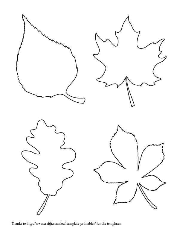 612x792 Printable Leaves Coloring Pages Maple Leaf Template Free Pattern - Maple Leaf Drawing Template