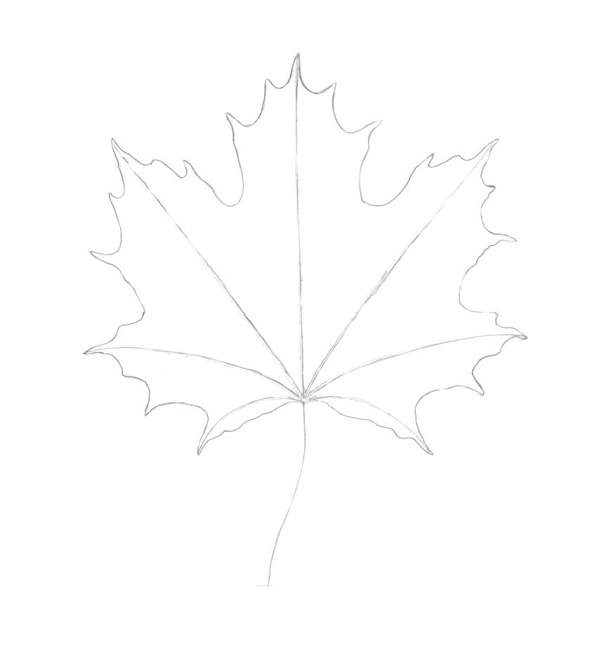 850x935 How To Draw A Leaf Step - Maple Leaf Line Drawing