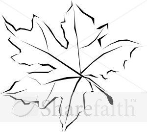 300x269 line art fall leaf leaf clipart - Maple Leaf Line Drawing