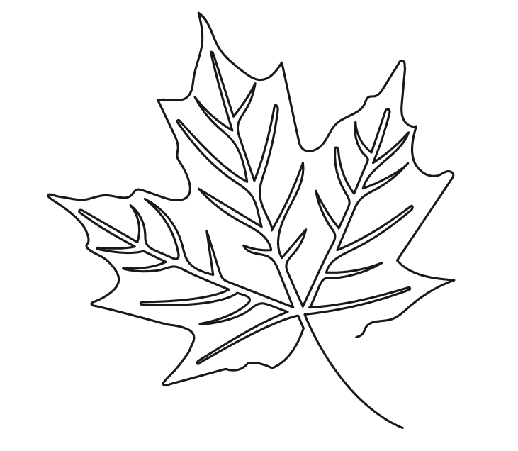 731x636 Make Canada A 'oui' Bit Better Tshirt Canadian Parents For French - Maple Leaf Line Drawing