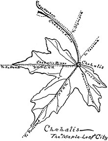 220x288 Maple Leaf - Maple Leaf Line Drawing