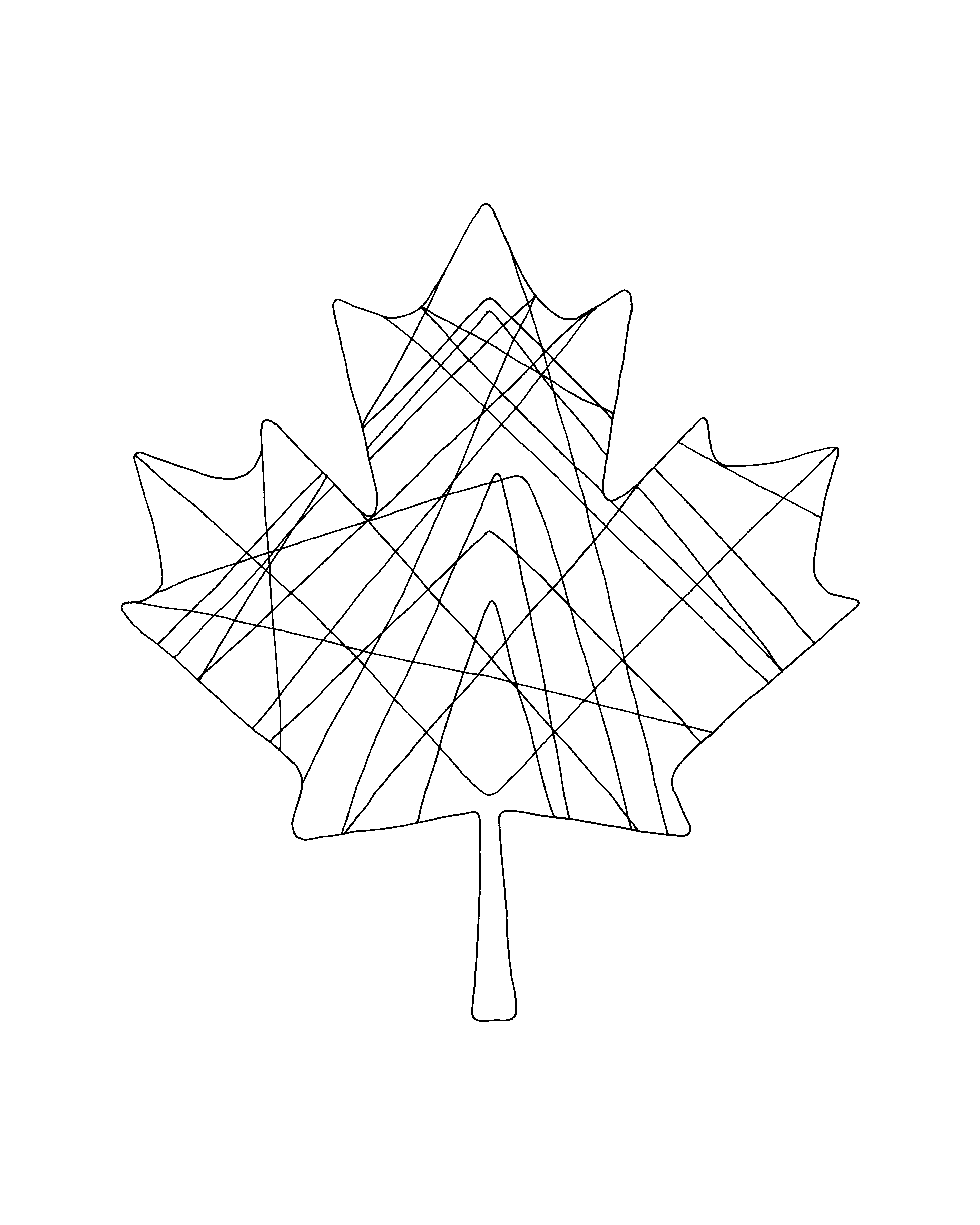 Maple Leaf Line Drawing at Explore collection of