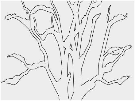 440x330 Maple Tree Coloring - Maple Tree Drawing