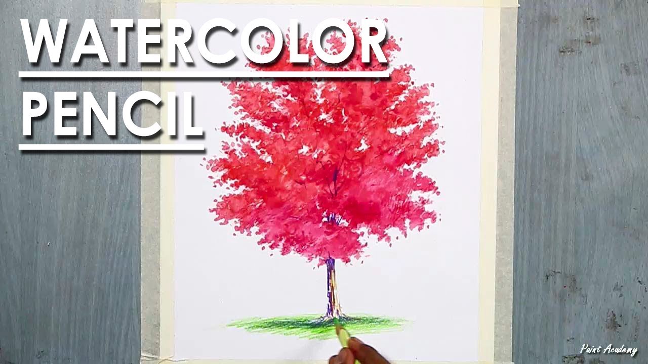 Maple Tree Drawing at Explore collection of Maple