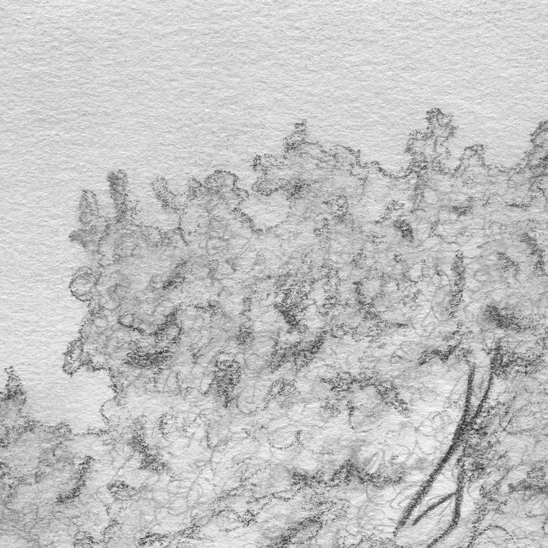 794x794 tree drawing maple tree original drawing tree art tree etsy - Maple Tree Drawing