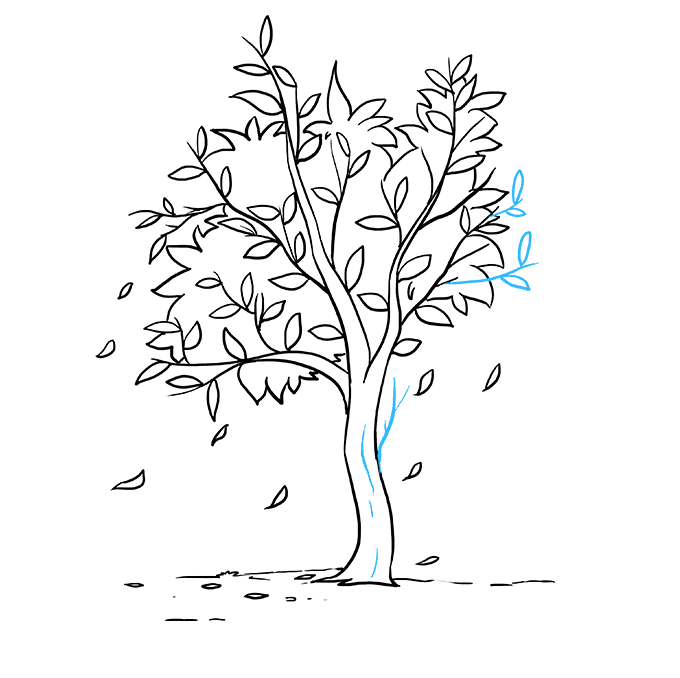 Maple Tree Drawing at Explore collection of Maple