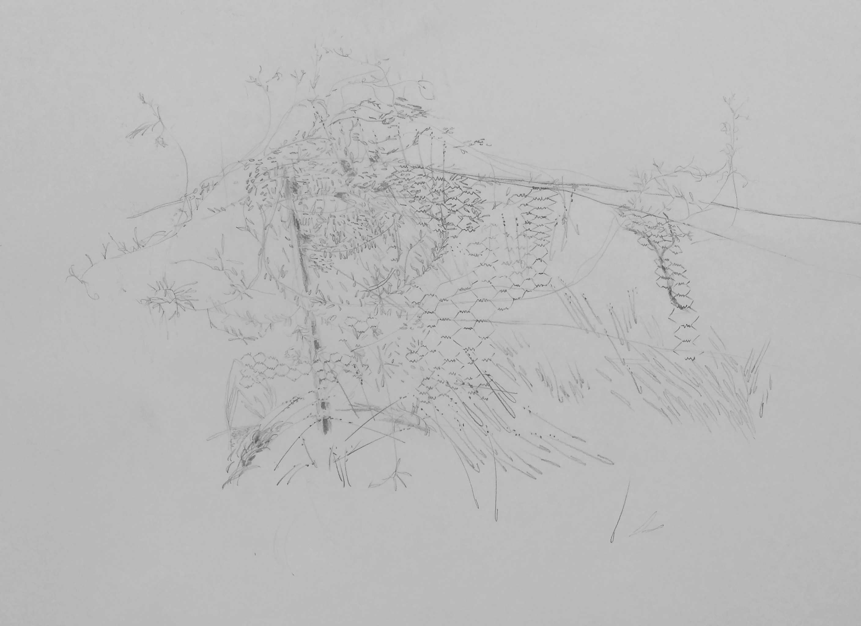 2816x2048 inside marco's drawing in nature class melbourne art class - Marcos Drawing