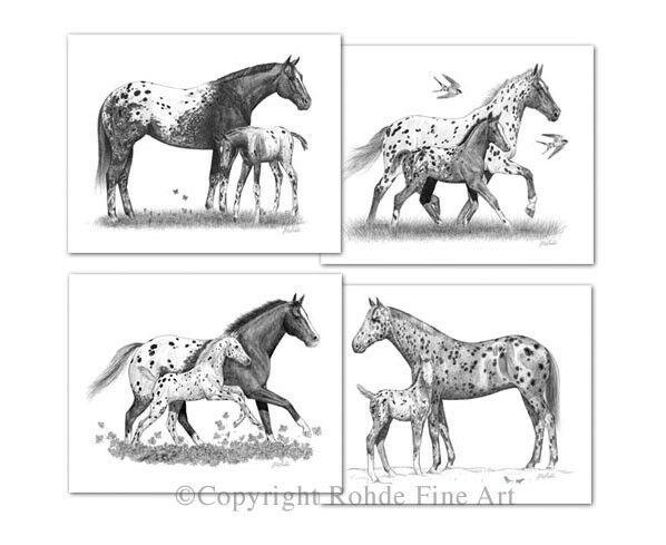 Mare And Foal Drawings