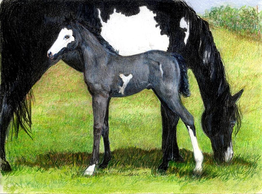 900x667 grulla paint mare and foal portrait drawing - Mare And Foal Drawings