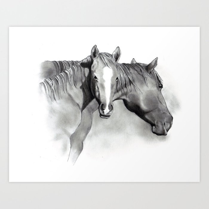 700x700 horse mare and foal, pencil drawing, equine art art print - Mare And Foal Drawings