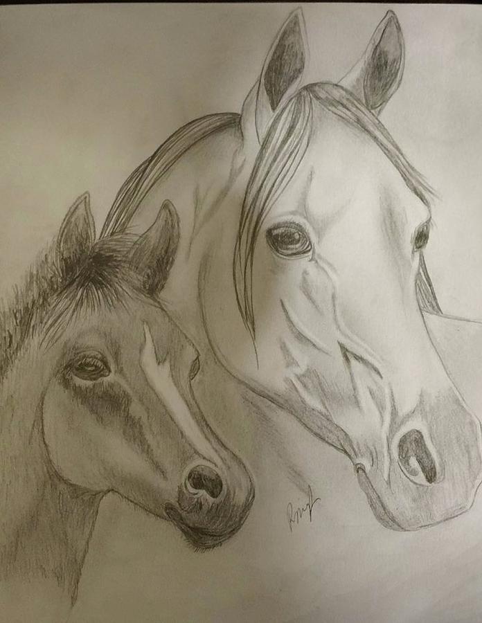 696x900 mare and foal drawing - Mare And Foal Drawings