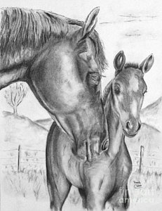 231x300 mare and foul drawing - Mare And Foal Drawings