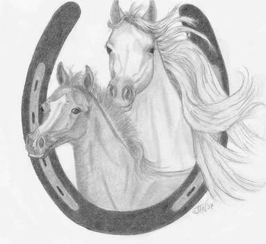 382x350 mare and foal - Mare And Foal Drawings