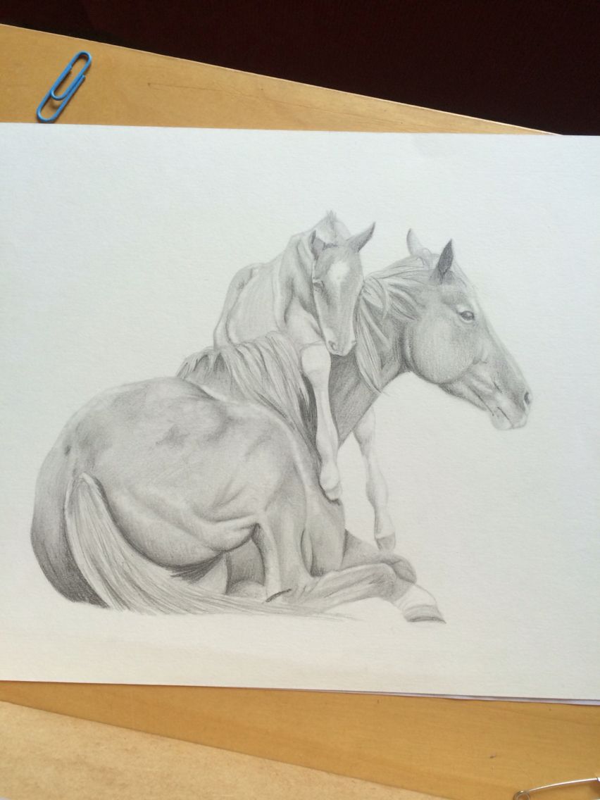 852x1136 mare and foal, graphite drawing pencil drawing love this - Mare And Foal Drawings