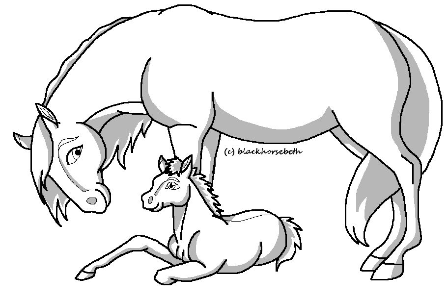 912x612 fanart blackhorsebeth - Mare And Foal Drawings