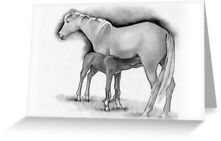 441x283 foal and mare, horse mother and baby, pencil drawing greeting - Mare And Foal Drawings