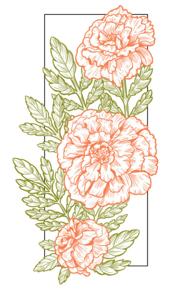 350x600 marigold tattoo tumblr - Marigold Drawing